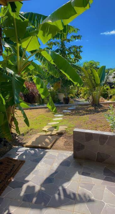 Banana Ecolodge